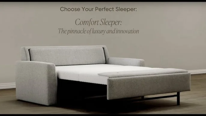 American Leather Sleeper Sofa