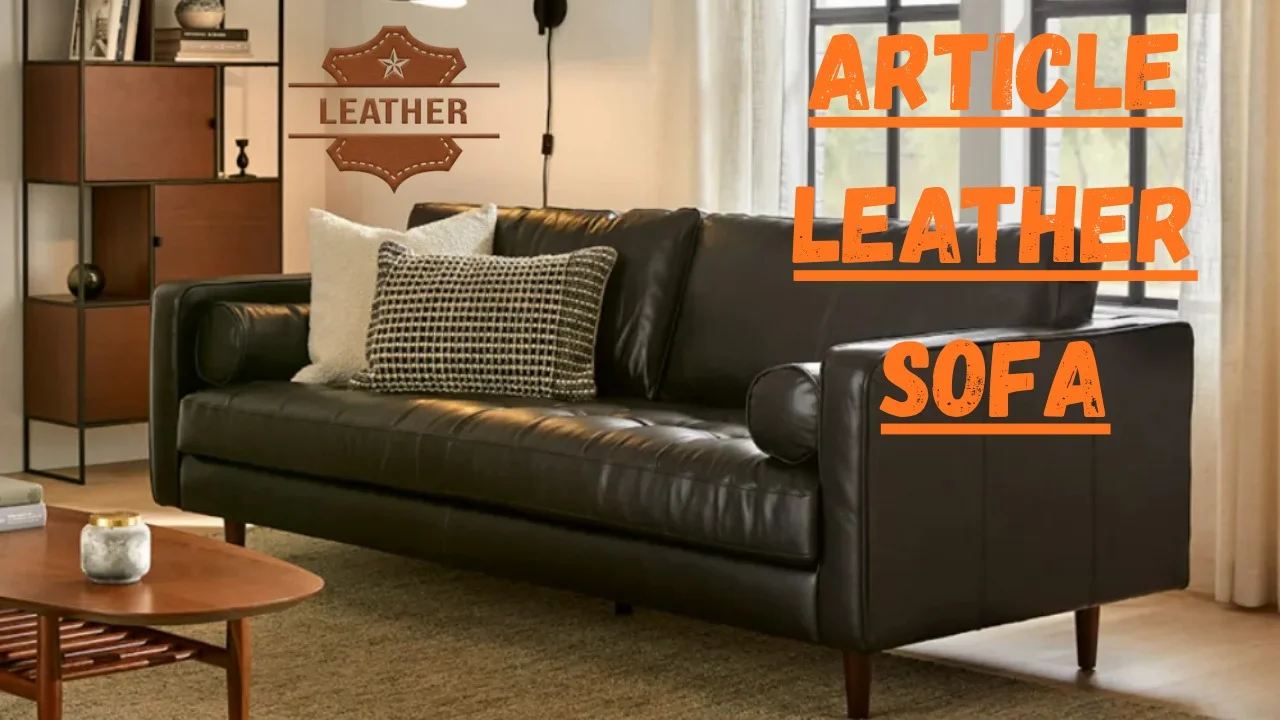 Article Leather Sofa