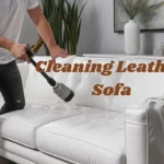 Cleaning Leather Sofa